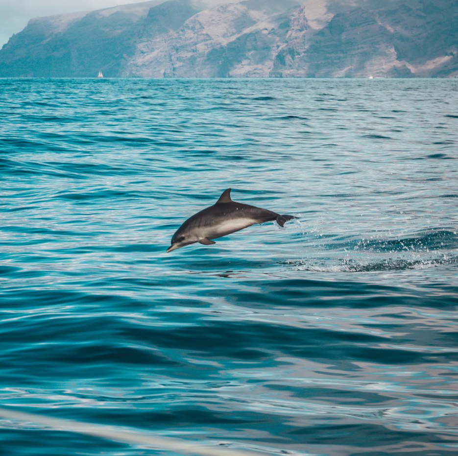 Capri to Amalfi and Positano Private Boat Trip gallery 2