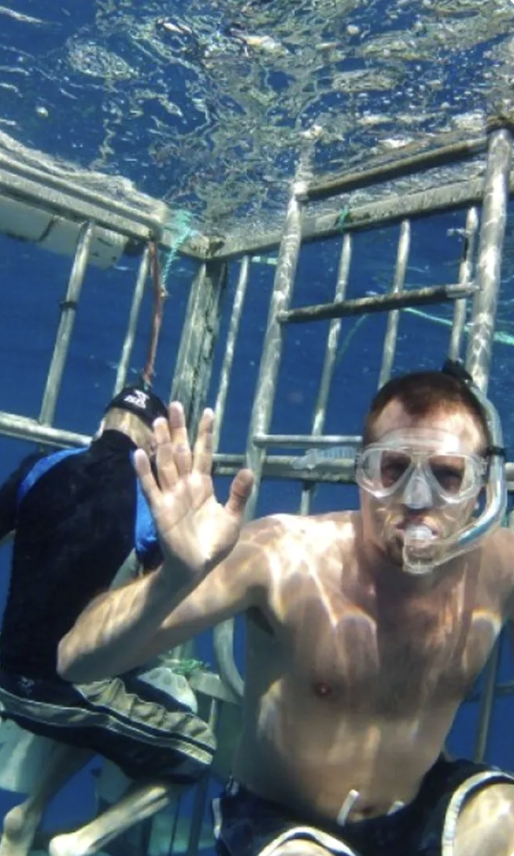 Dubai Aquarium Cage Snorkelling Experience gallery 2