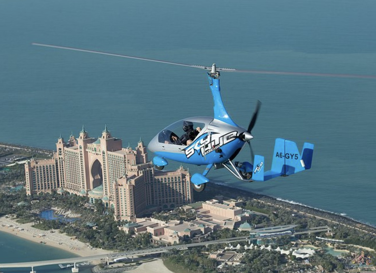 Private Gyrocopter Flight Over The Palm gallery 5