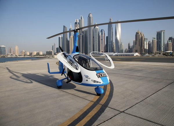Private Gyrocopter Flight Over The Palm gallery 4