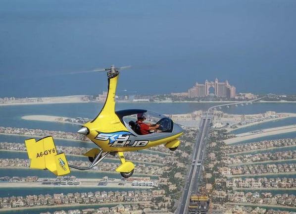 Private Gyrocopter Flight Over The Palm gallery 3