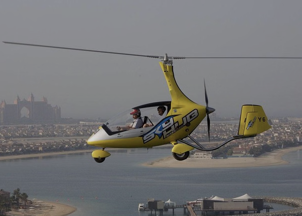 Private Gyrocopter Flight Over The Palm gallery 2