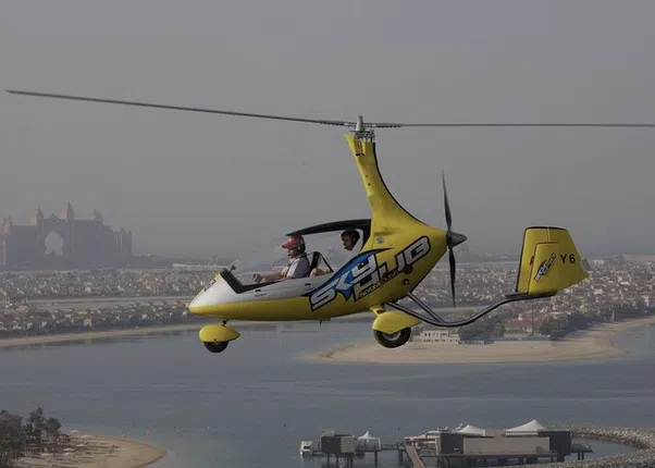 Private Gyrocopter Flight Over The Palm, photo 2