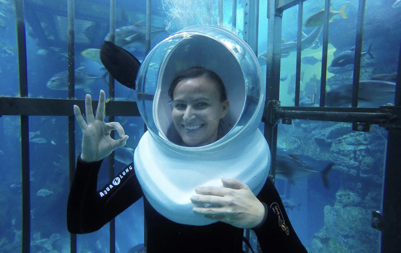 Shark Walker Experience at Dubai Aquarium, photo 4