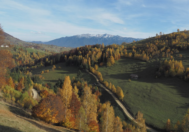 2-Day Piatra Craiului National Park Hiking Trek from Brașov, photo 3