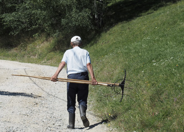 2-Day Piatra Craiului National Park Hiking Trek from Brașov, photo 5
