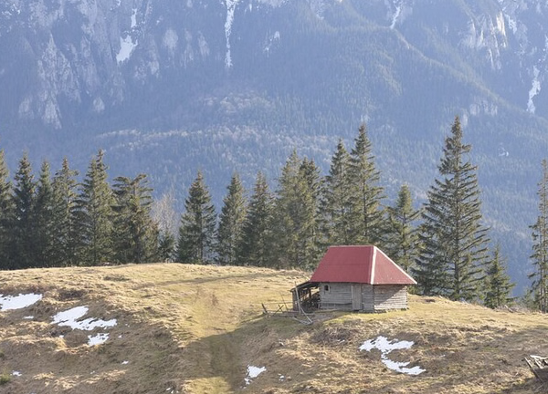Wild Carpathian Photo Hiking Tour from Brașov (Private Day Hike), photo 4