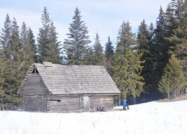 Wild Carpathian Photo Hiking Tour from Brașov (Private Day Hike) gallery 3