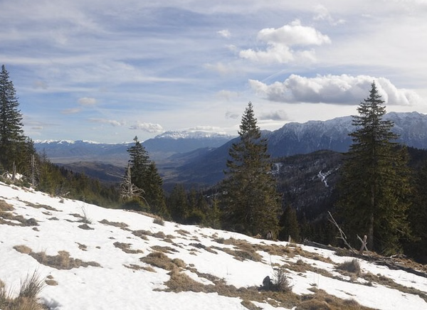Wild Carpathian Photo Hiking Tour from Brașov (Private Day Hike), photo 5