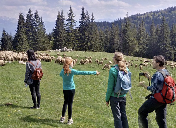2-Day Transylvania Culture & Hiking Tour from Brașov, photo 3