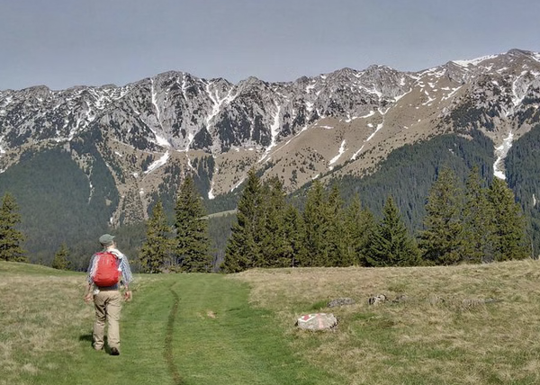 4-Day Carpathian Hiking Tour: Bucegi Mountains & Piatra Craiului National Park gallery 4