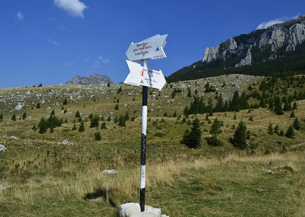 4-Day Carpathian Hiking Tour: Bucegi Mountains & Piatra Craiului National Park gallery 2