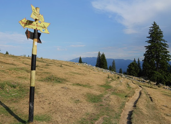 Piatra Craiului National Park Private Hiking Tour from Brașov (Day Hike), photo 4