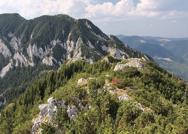 Piatra Craiului National Park Private Hiking Tour from Brașov (Day Hike) gallery 3