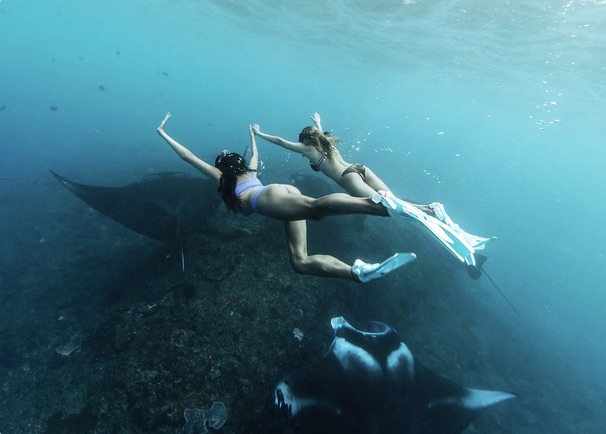 Premium Nusa Penida Private Yacht & Manta Ray Snorkelling Experience from Bali gallery 7