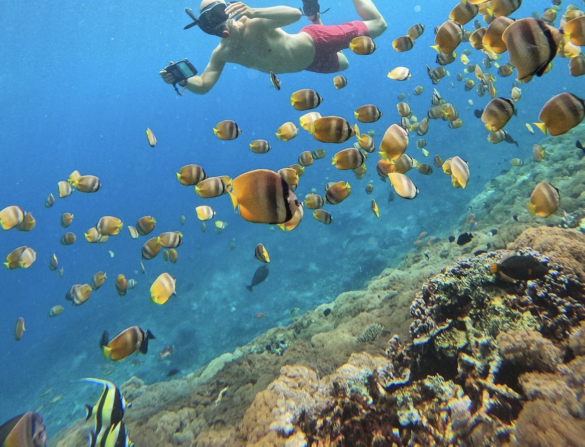 Premium Nusa Penida Private Yacht & Manta Ray Snorkelling Experience from Bali gallery 4