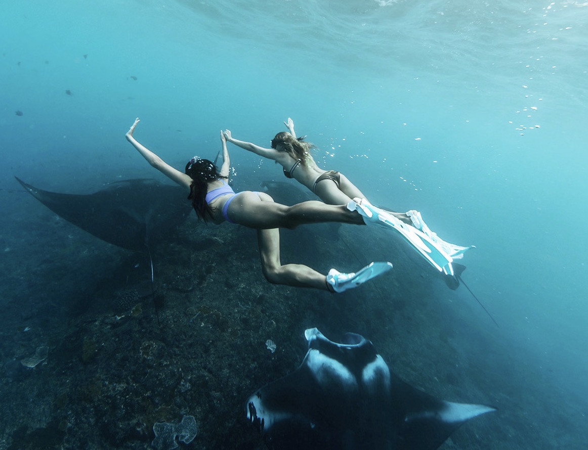 🐋 16:00 – Manta Point Encounter 1