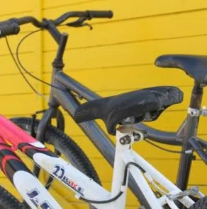 Bicycle Rental in the Delta de l’Ebre gallery 3