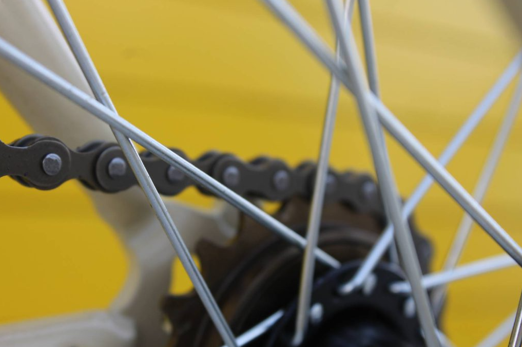 Bicycle Rental in the Delta de l’Ebre gallery 7