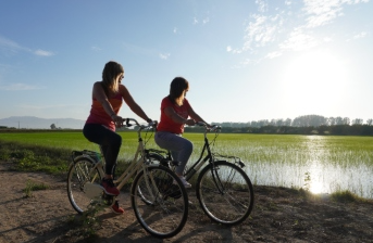Bicycle Rental in the Delta de l’Ebre gallery 8