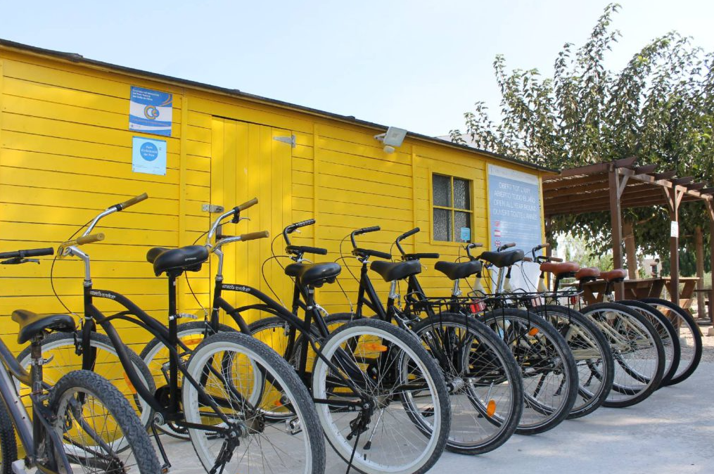 Bicycle Rental in the Delta de l’Ebre, photo 3