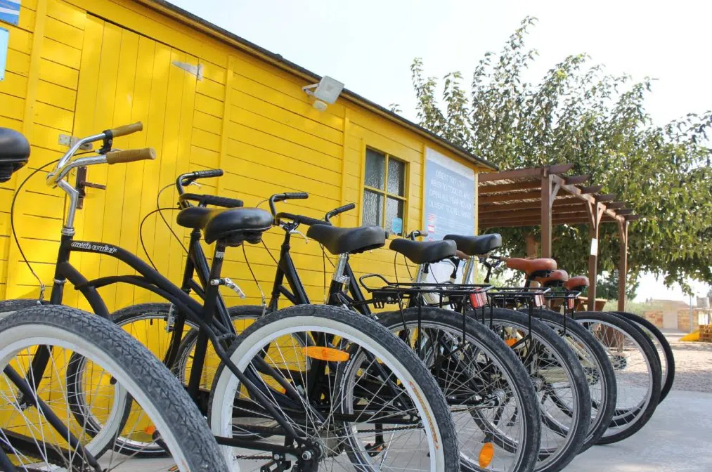 Bicycle Rental in the Delta de l’Ebre, photo 4