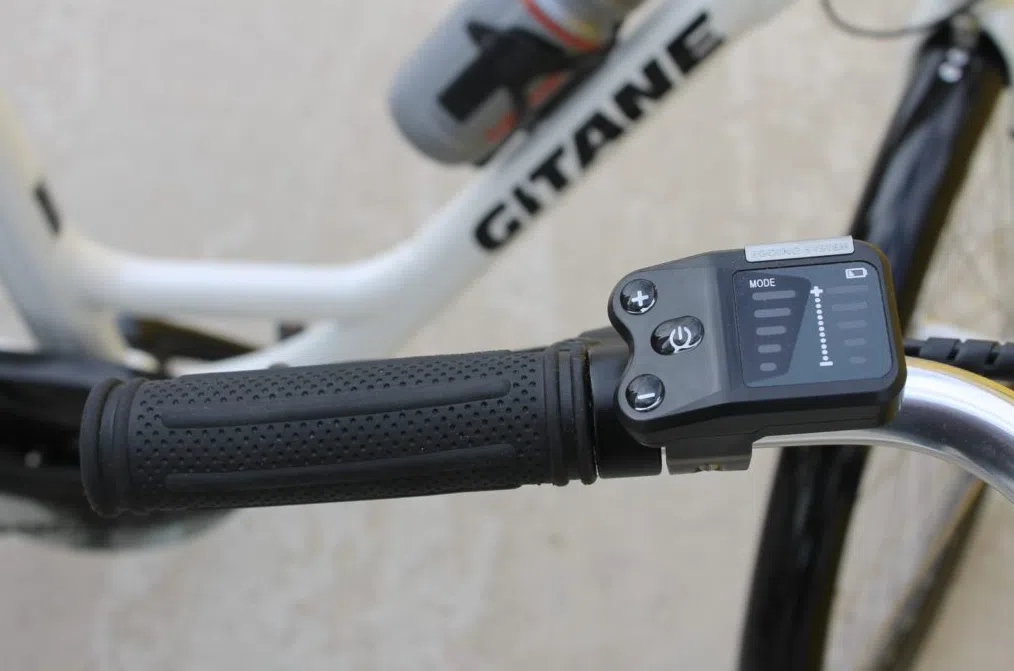 Electric Bike Rental in the Delta de l’Ebre, photo 2