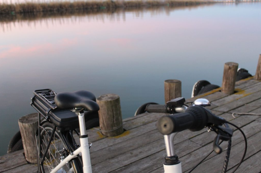 Electric Bike Rental in the Delta de l’Ebre gallery 3
