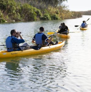 Kayaking and Cycling Experience in the Ebro Delta Spain gallery 2