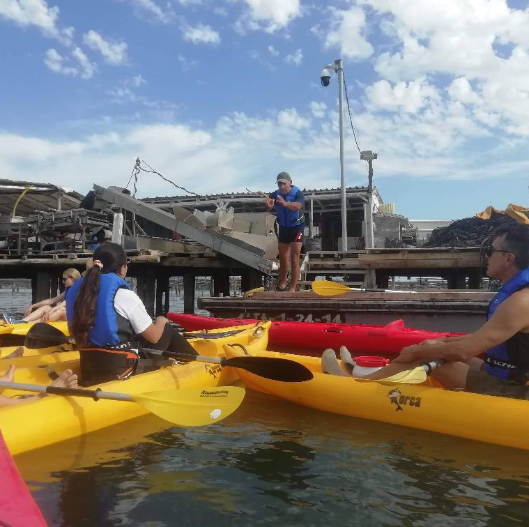 Guided Kayak Tour - Mussels Farming Route gallery 6