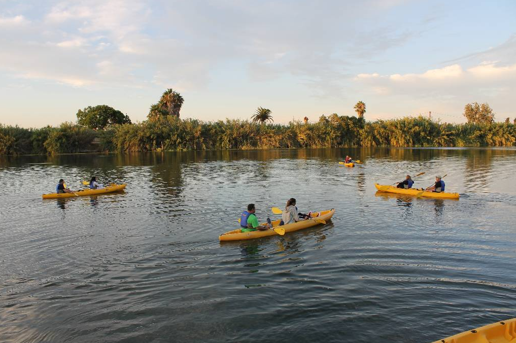 Pet Friendly Kayak Route - Gracia Island Ebro Delta gallery 7