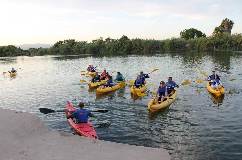 Kayaking and Cycling Experience in the Ebro Delta Spain gallery 10