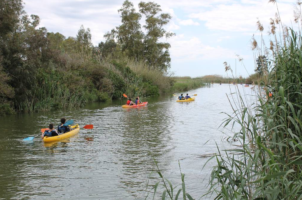 Kayaking and Cycling Experience in the Ebro Delta Spain, photo 5