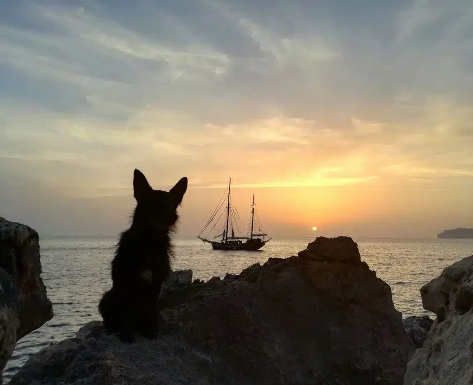 Sunset Sailing Tour in Palma, Mallorca gallery 2