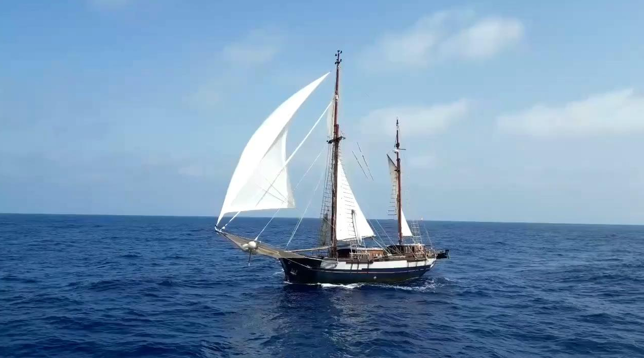 Day Sailing Tour in Palma, Mallorca gallery 2