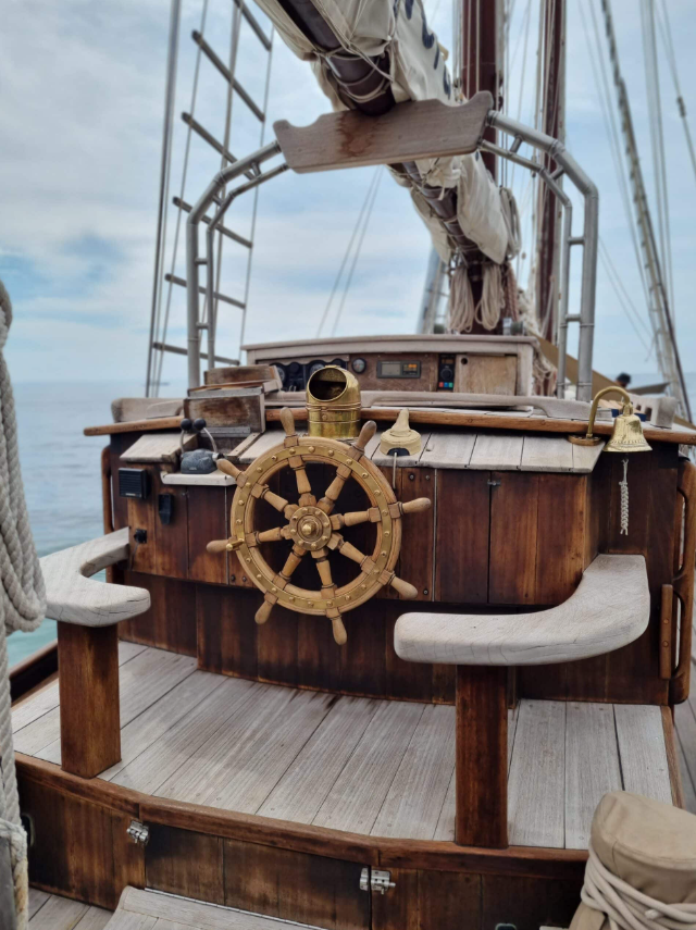 Day Sailing Tour in Palma, Mallorca gallery 3