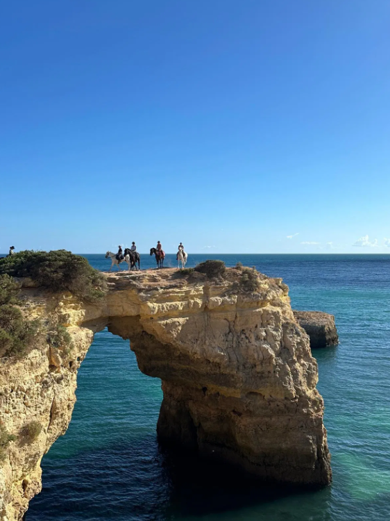 Private Boat Tour from Portimão – Half Day, Full Day and Sunset - Jeanneau DB43, photo 5