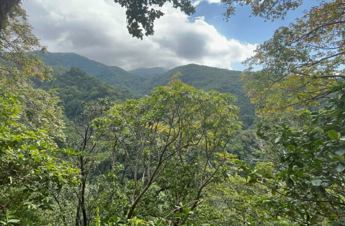 Wingfield Rainforest and Romney Hike in St Kitts gallery 4