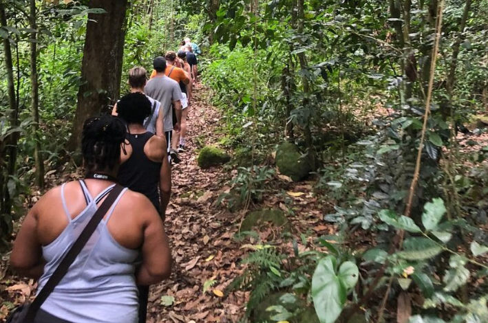 Wingfield Rainforest and Romney Hike in St Kitts, photo 3