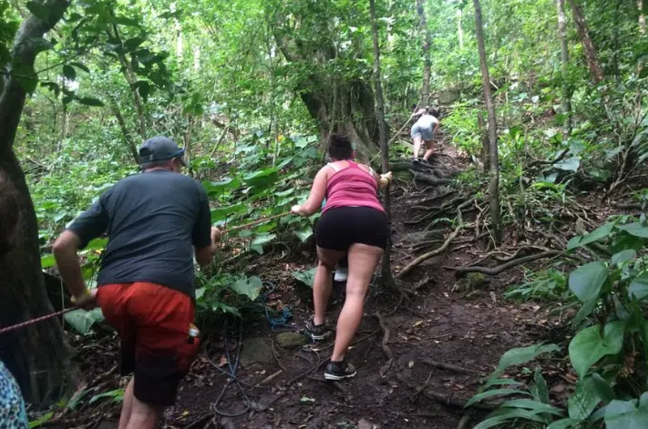 Wingfield Rainforest and Romney Hike in St Kitts, photo 4