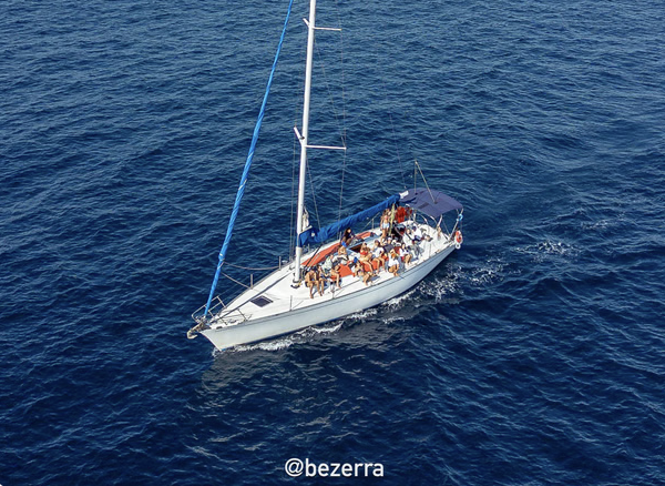 Whale Watching Sailing Expedition in Rio (Seasonal – 5 Hours) gallery 2