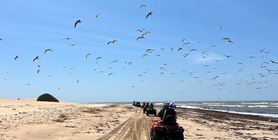 Essaouira Quad Biking Experience from Marrakech, listing photo