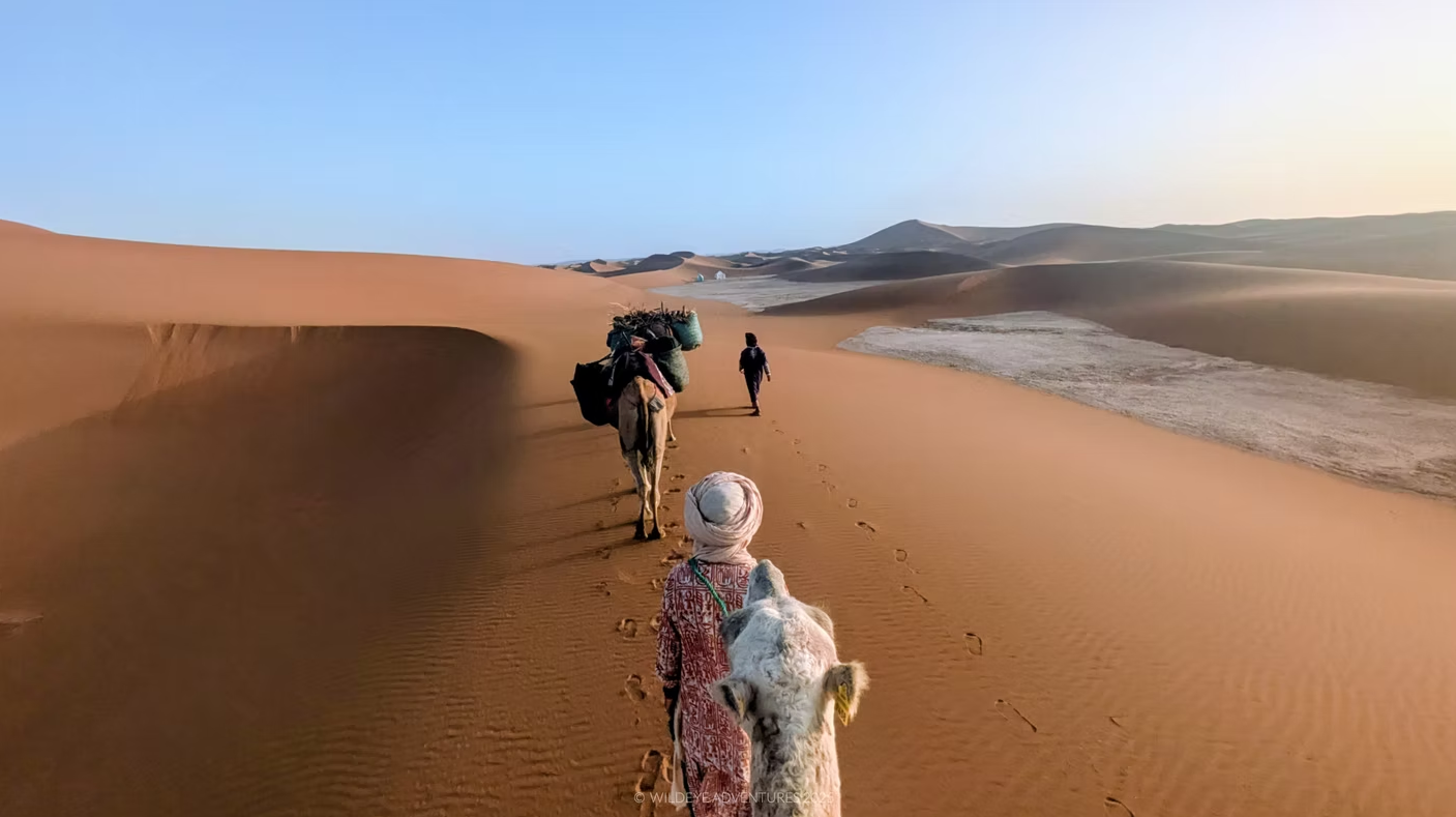 Sahara Trek & Desert Bushcraft Expedition, Morocco, photo 4