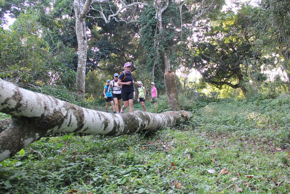 Wild Coast Trail Run – 4-Night Self-Guided Coastal Challenge gallery 3