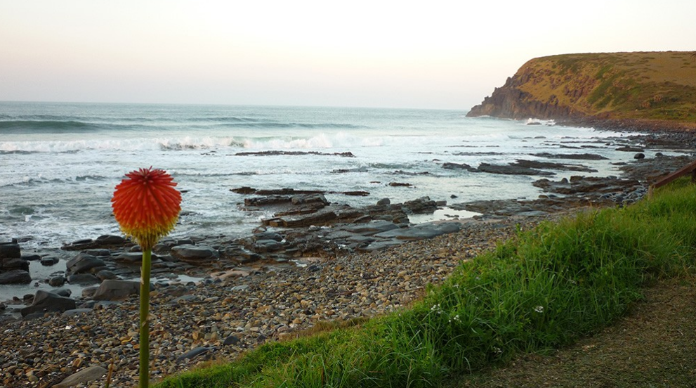 Lower Wild Coast Hotel-to-Hotel Hike – Guided Coastal Trail gallery 7