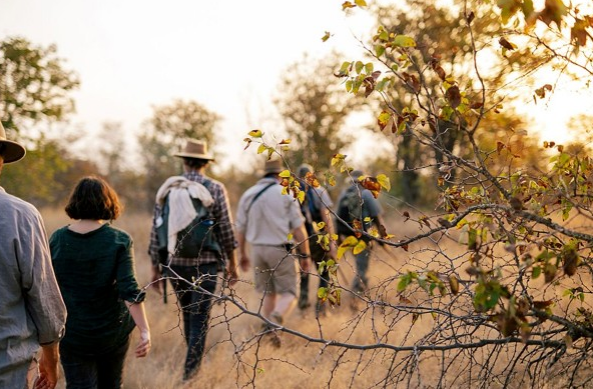 Greater Kruger Big-5 Walking Safari – Maseke Wilderness Trail, photo 2