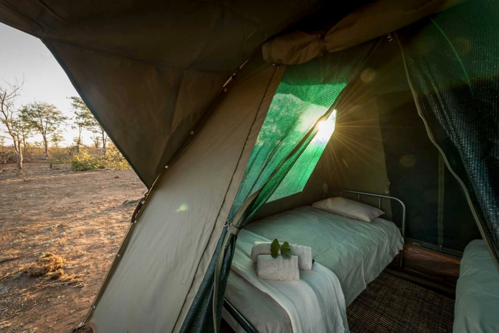 Greater Kruger Big-5 Walking Safari – Maseke Wilderness Trail gallery 3