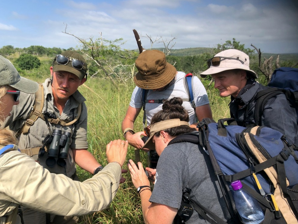 Greater Kruger Big-5 Walking Safari – Maseke Wilderness Trail, photo 4
