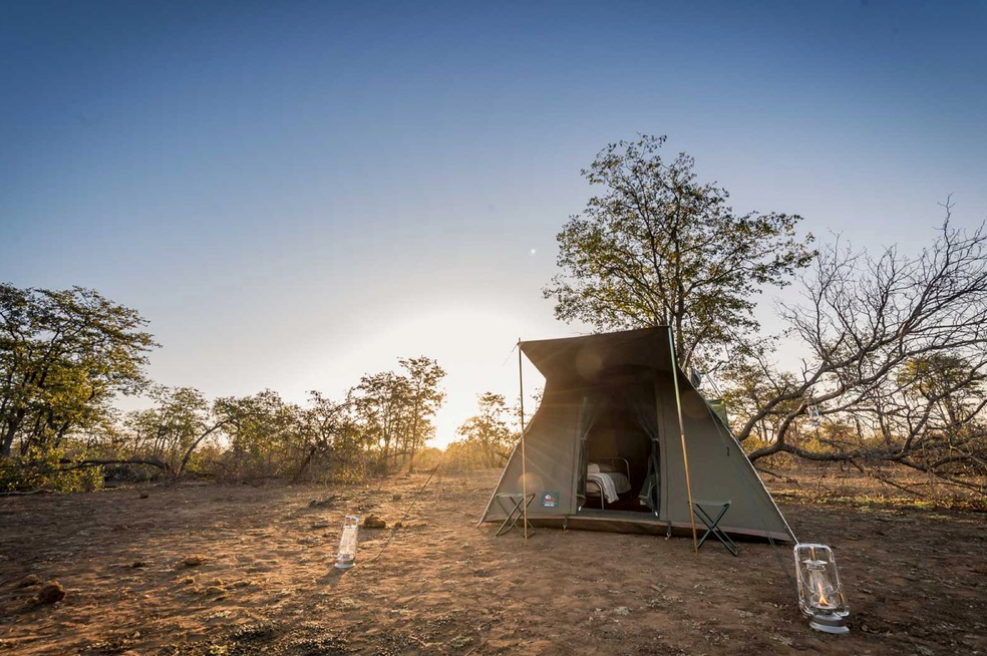 Greater Kruger Big-5 Walking Safari – Maseke Wilderness Trail gallery 9