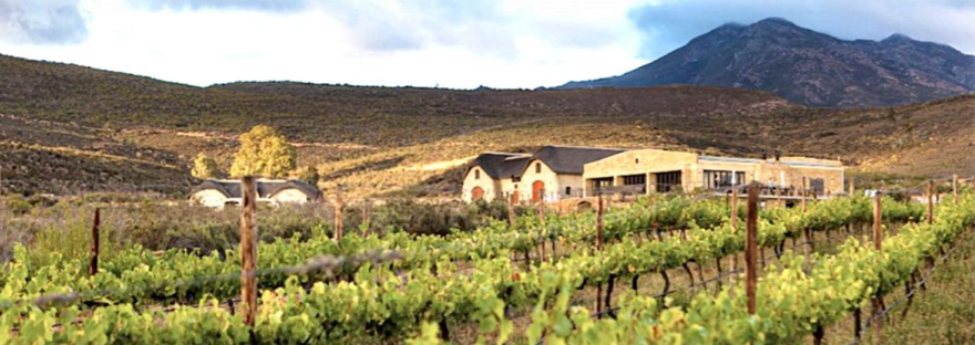 McGregor Wine & Walking Escape – Guided Vineyard Hikes in the Breede Valley, photo 4
